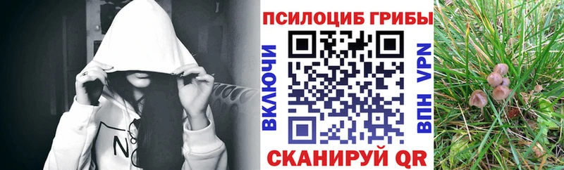Псилоцибиновые грибы прущие грибы  Новомичуринск 